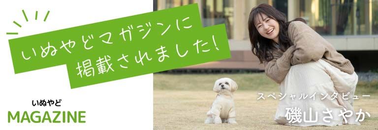 いぬやどマガジン