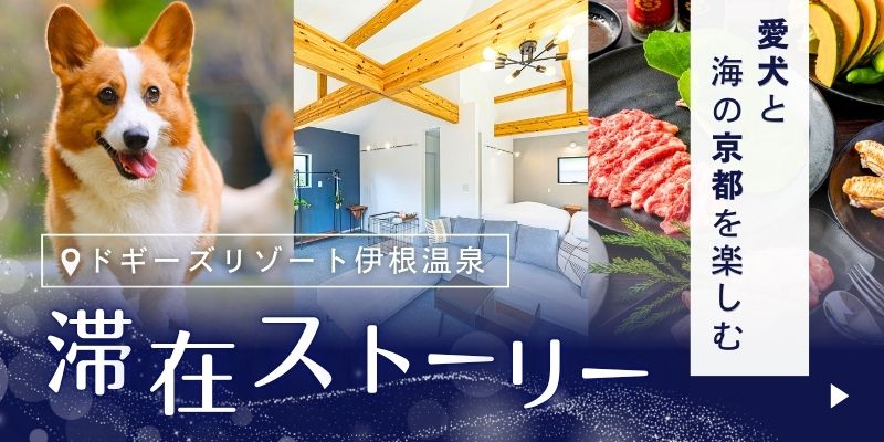 滞在ストーリー